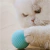 Brinquedo Bola Inteligente LoliPop - Loja Simplifique 