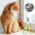 Cortador de Unhas Profissional Para Gatos TrimPet - Loja Simplifique 