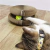 Imagem do Brinquedo Para Gatos OndCat + Bola