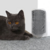 Massageador com Catnip para Gatos na internet
