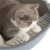 Caixa de Areia Premium PurrBox - comprar online