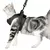 Peitoral Ajustável Catventure + Guia - comprar online