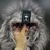 RayBan - comprar online