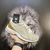 Nb 1906 - comprar online