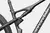 Bicicleta Cannondale Scalpel Carbon 4 2024