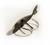 Anillo de Ballena - comprar en línea