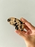 Piranha Borboleta Astrid - loja online