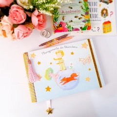 Planejamento da Educadora 2025 (FÍSICO) - Educação Infantil