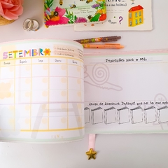 Planejamento da Educadora 2025 (FÍSICO) - Educação Infantil na internet