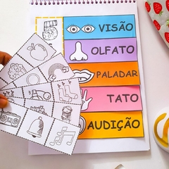 Kit - Os 5 sentidos - comprar online