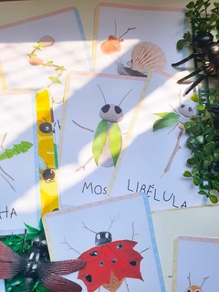 Cards Bichinhos de Jardim com elementos da natureza - Loja da Educadora