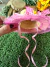 FJ Chapéu Rosa Fêmea G - 1 unidade - Laços Pet da Manu