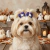 Laço Pet M Halloween com Apliques Sortidos – Pacote com 10 Unidades - comprar online