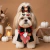 Laço Pet G Conde Drácula Halloween – Pacote com 6 Unidades (3 de Cada Cor) - comprar online