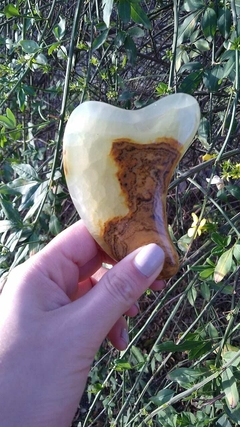 GUA SHA PRO CORAZÓN - Lena Vegetal
