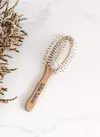 Cepillo para Cabello Húmedo