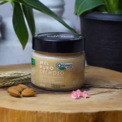 Kit 2 Mel Puro Cremoso e Tradicional Orgânico Florada Acácia 480g na internet