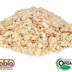 Aveia em Flocos Orgânica Ecobio 250G - comprar online