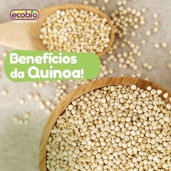 Quinoa em Grãos Orgânica Ecobio 250g - comprar online