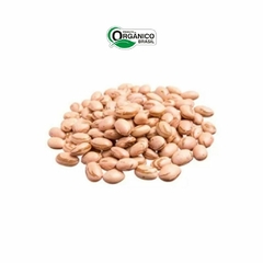 Feijão Carioca Orgânico 500g Biorgânica na internet