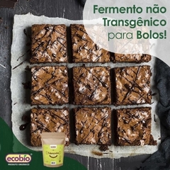 Fermento Em Pó Não Transgênico E Sem Glúten Ecobio 100g - comprar online