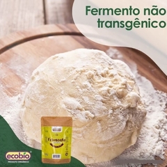 Fermento Em Pó Não Transgênico E Sem Glúten Ecobio 100g - loja online