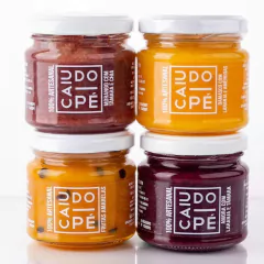 Geleia de Damasco c/ Laranja Sem Açúcar 150g - Caiu do Pé - Natu Gaio - Loja Especializada em Produtos Naturais e Orgânicos