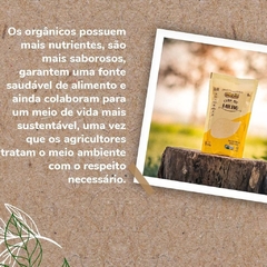 Fubá De Milho Farinha De Milho Orgânico Vegano Ecobio 400g na internet