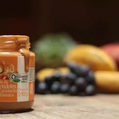 Pasta De Amendoim Orgânica Com Caramelo De Tâmara 210g Onveg - comprar online