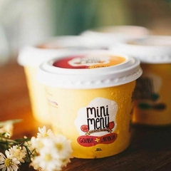 Sorvetinho de Goiaba e Laranja Sem Lactose, Açúcar e Glúten Mini Menu 150g (Apenas para Campos/RJ) - comprar online