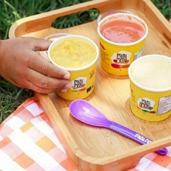 Sorvetinho Abacaxi Coco e Canela Sem Lactose, Açúcar e Glúten Mini Menu 150g (Apenas para Campos/RJ) - loja online