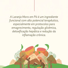 Laranja Moro Em Pó Liofilizada Souly 300g - loja online