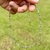 Choker Esfera Facetada AMETISTA - Conexão Cristal