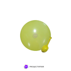 Globos 10" Standard Importados x50 - comprar online