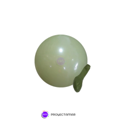 Globos 10" Standard Importados x50 - tienda online