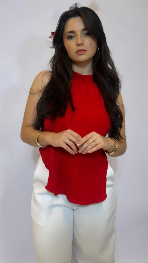 BLUSA PRI - comprar online