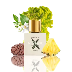 NISHANE - HACIVAT X na internet