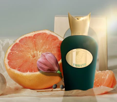 Sospiro - Vibrato na internet