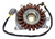 Estator Bmw R1250 Gs 2019-2023 Usado Original