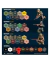 Life Vest Yellow 18ml Warpaints Fanatic Army Painter History - loja online