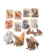 Dragão Adulto Enorme Miniatura 2d Pvc Rpg Dnd Kit 12 Token - comprar online