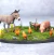 Farm Animals Escala 28mm Tabletop Workshop Miniatura Fazenda na internet