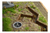 Pegasus Bridge D.day Battle Set Wargame Italeri 1/72 na internet