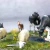 Farm Animals Escala 28mm Tabletop Workshop Miniatura Fazenda na internet