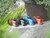 Mesa Dabomb Beretta Freeride Enduro 35mm - comprar online