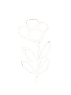 Com cuidado e carinho