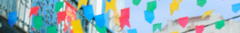 Banner da categoria já é São João!