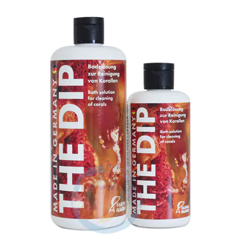 The Dip Fauna Marin - Profilaxia De Corais