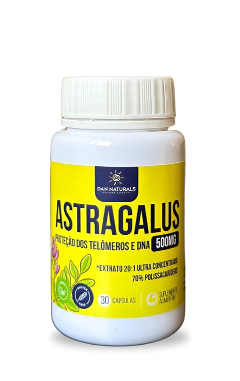 Astragalus Ultra concentrado 70% polissacarídeos, 500mg, 30 cápsulas