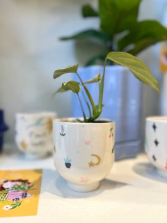 Imagen de SOL (CAPSULA X GIULI)